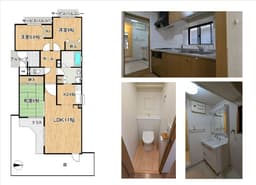 グローバル⾐笠　1階　3LDK　衣笠大祓町の画像