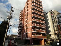 デ・リード今出川通　5階　2026年3月中旬リノベーション完了予定　　日当たり良好　の画像