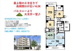 ライオンズマンション北白川　7階・最上階角部屋　眺望良好の画像